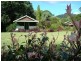 274 Crabbes Creek Road, Crabbes Creek NSW 2483