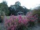 274 Crabbes Creek Road, Crabbes Creek NSW 2483