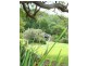 274 Crabbes Creek Road, Crabbes Creek NSW 2483