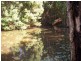 10 Braeside Drive, Uki NSW 2484