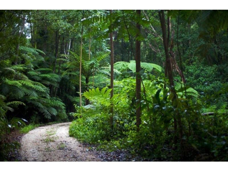 601 Smiths Creek Road, Uki NSW 2484