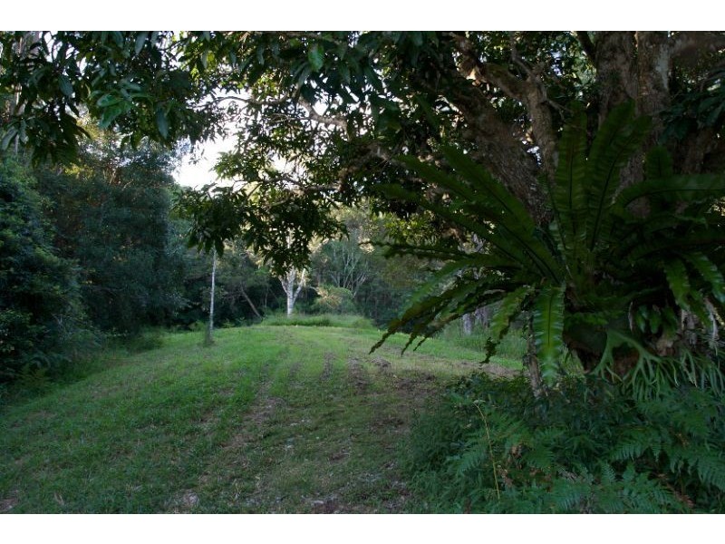601 Smiths Creek Road, Uki NSW 2484