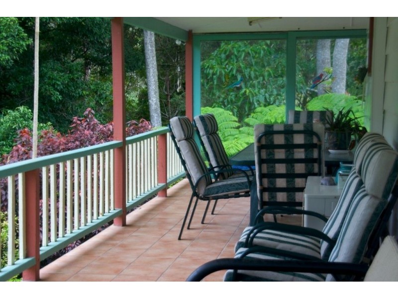 601 Smiths Creek Road, Uki NSW 2484