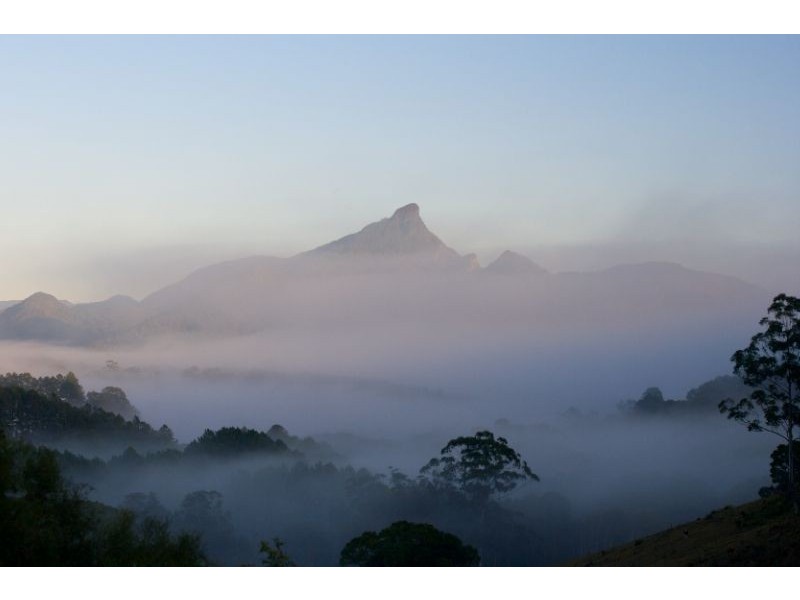 601 Smiths Creek Road, Uki NSW 2484