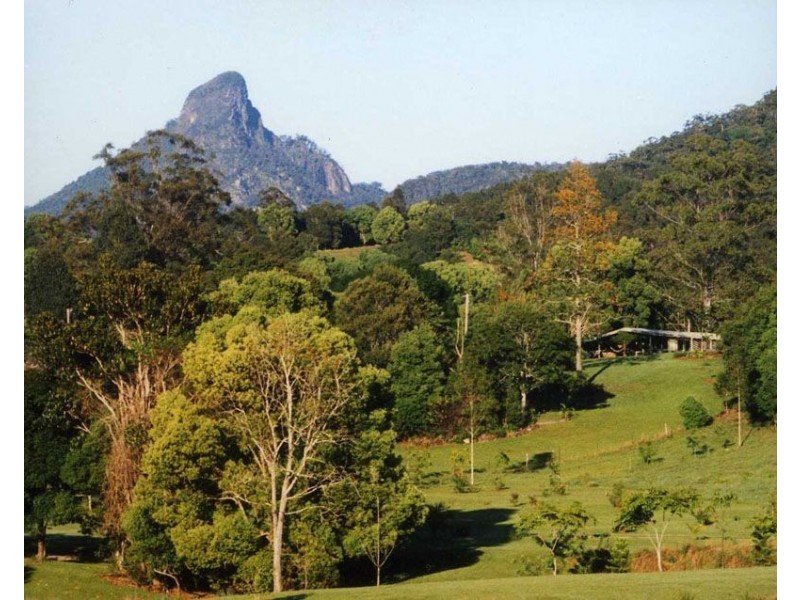 Lot 1 Solomons Road, Uki NSW 2484