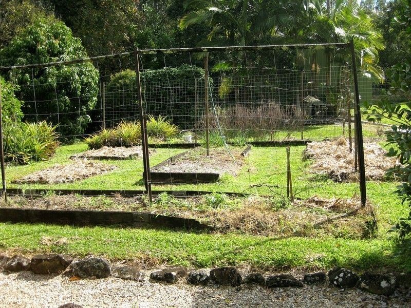 Lot 1 Solomons Road, Uki NSW 2484