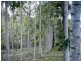 Lot 1 Solomons Road, Uki NSW 2484