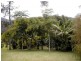 Lot 1 Solomons Road, Uki NSW 2484