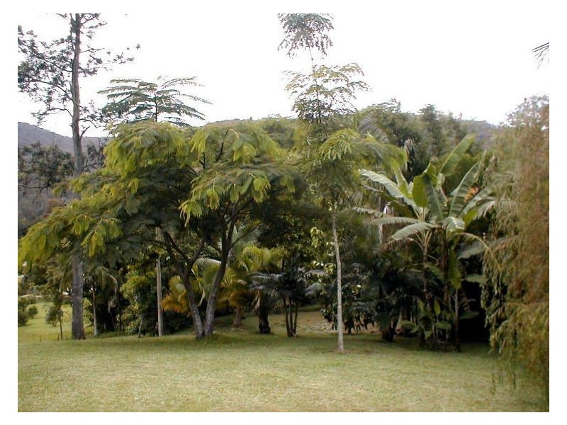 Lot 1 Solomons Road, Uki NSW 2484