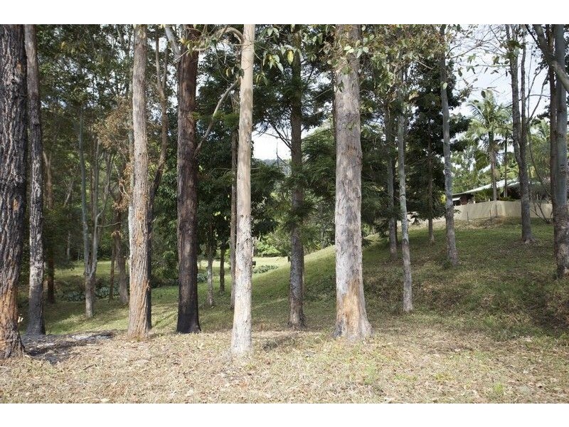 5 Ryans road, Uki NSW 2484