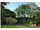 64 Mount Warning Road, Mount Warning NSW 2484