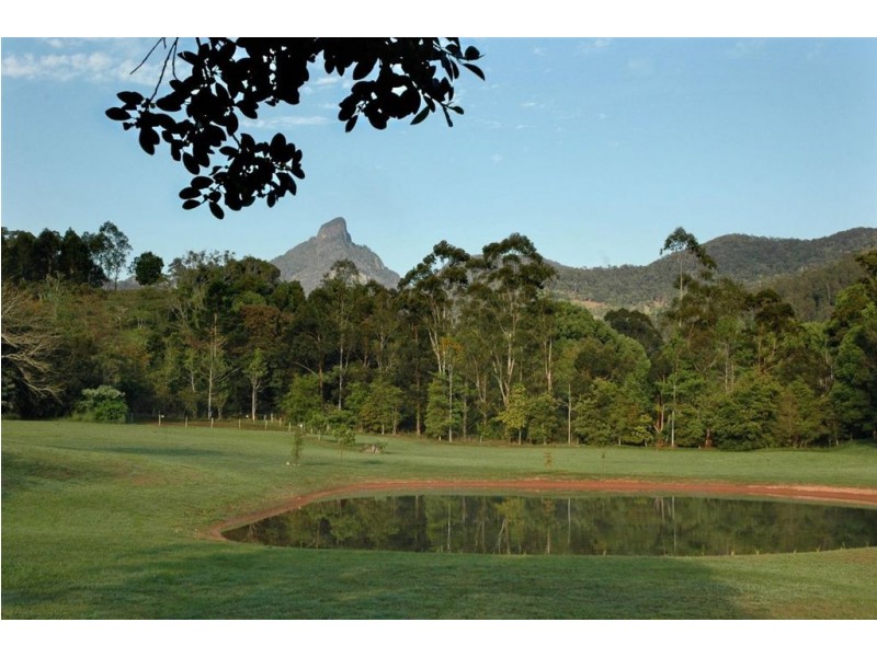64 Mount Warning Road, Mount Warning NSW 2484