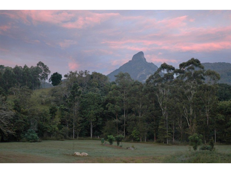 64 Mount Warning Road, Mount Warning NSW 2484