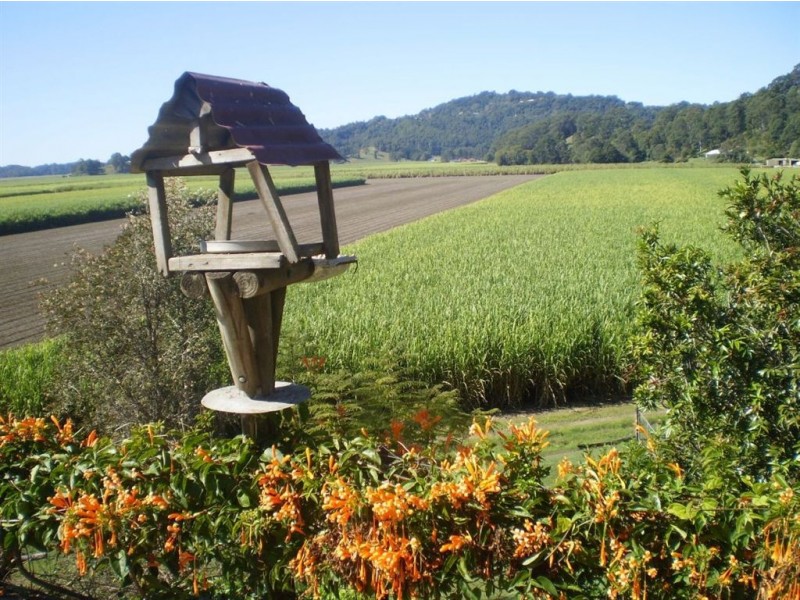 181 Clothiers Creek Road, Nunderi NSW 2484