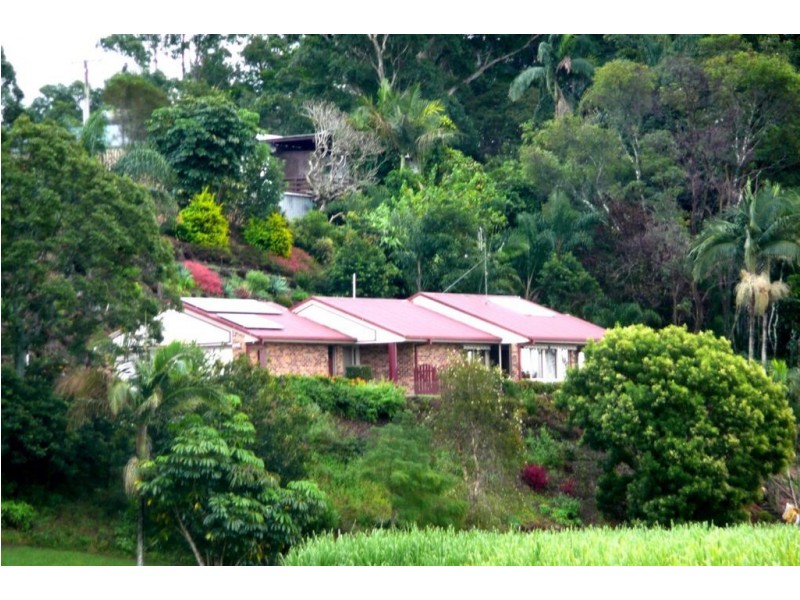 181 Clothiers Creek Road, Nunderi NSW 2484