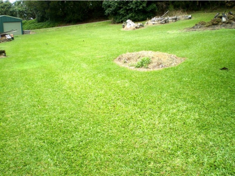 181 Clothiers Creek Road, Nunderi NSW 2484