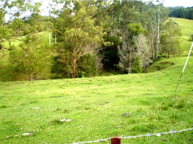 105 Hopkins Creek Road, Chillingham NSW 2484