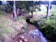 105 Hopkins Creek Road, Chillingham NSW 2484