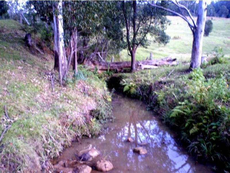 105 Hopkins Creek Road, Chillingham NSW 2484