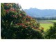 69 Ewing Street, Murwillumbah NSW 2484