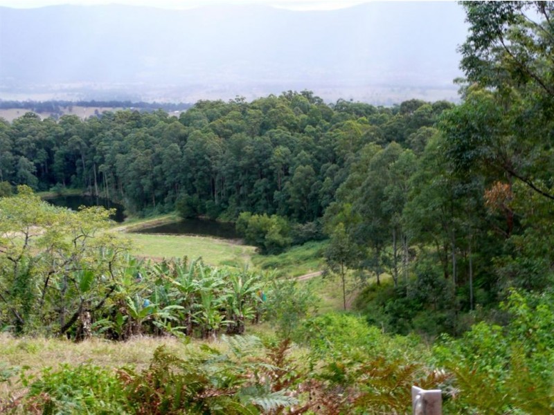 286 Tyalgum Ridge Road, Tyalgum NSW 2484