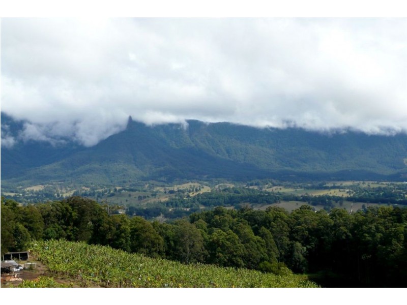 286 Tyalgum Ridge Road, Tyalgum NSW 2484