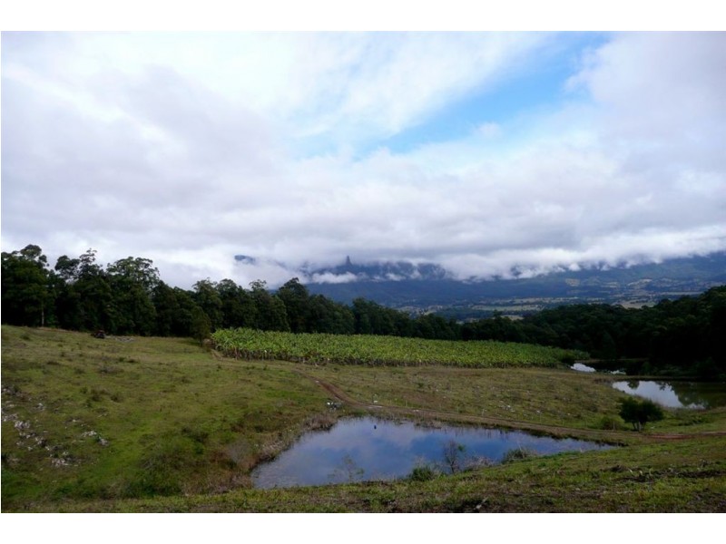 286 Tyalgum Ridge Road, Tyalgum NSW 2484