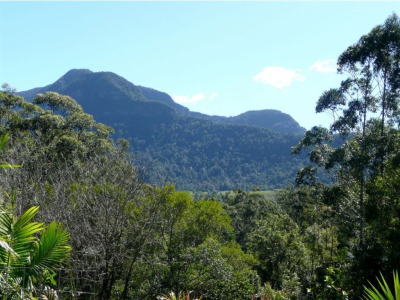 464 Hopkins Creek Road, Chillingham NSW 2484