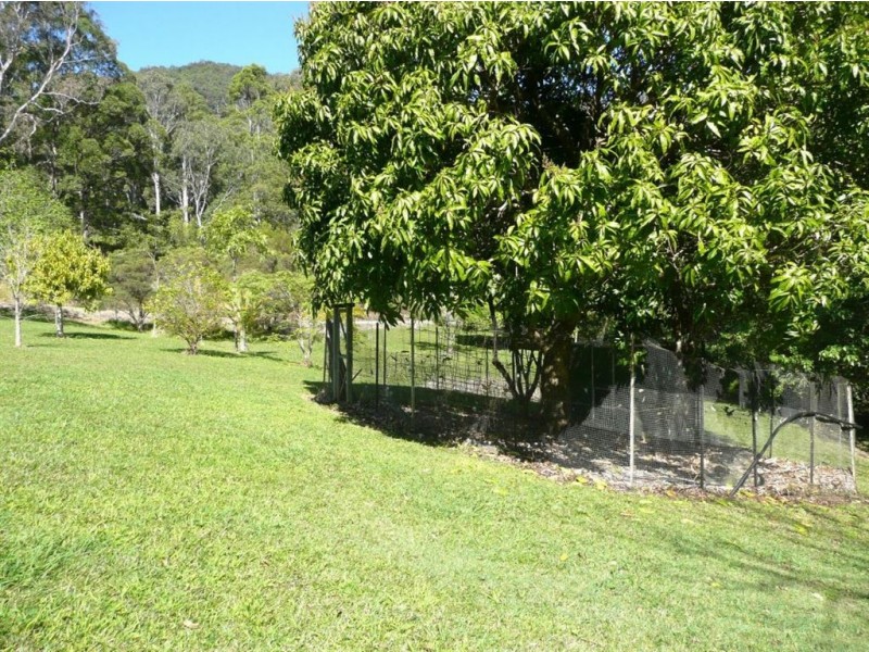 464 Hopkins Creek Road, Chillingham NSW 2484