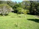464 Hopkins Creek Road, Chillingham NSW 2484