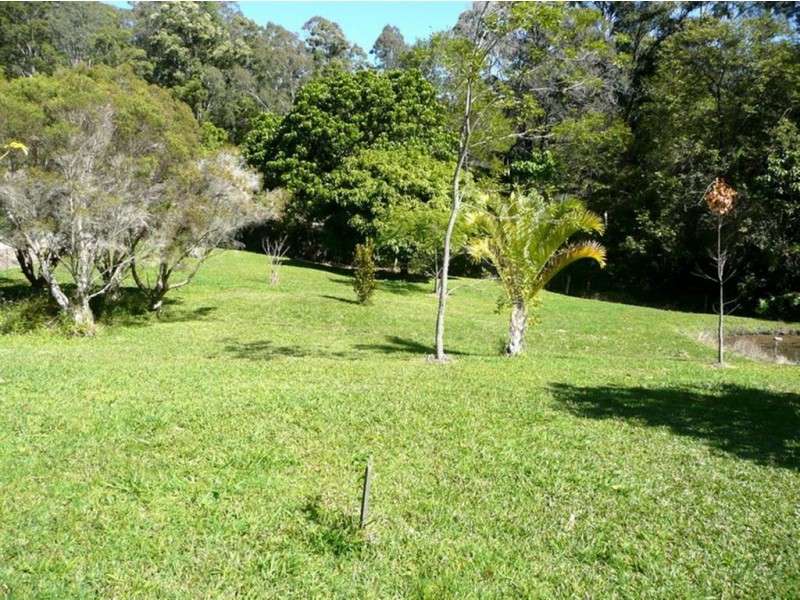 464 Hopkins Creek Road, Chillingham NSW 2484