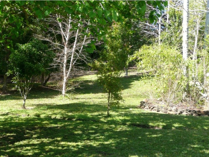 464 Hopkins Creek Road, Chillingham NSW 2484