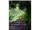 1985 Numinbah Road, Numinbah NSW 2484