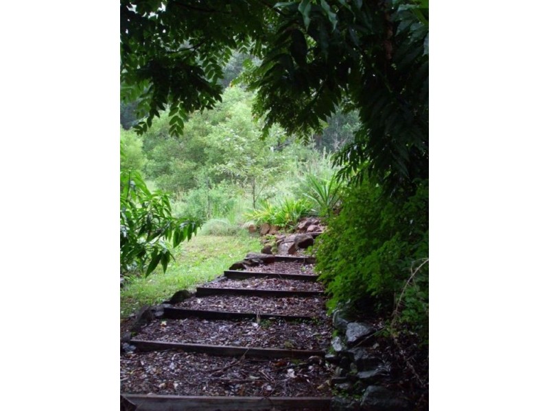 1985 Numinbah Road, Numinbah NSW 2484