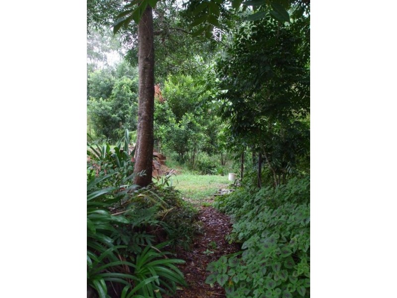 1985 Numinbah Road, Numinbah NSW 2484