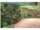 1985 Numinbah Road, Numinbah NSW 2484
