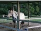501 Round Mountain road, Round Mountain NSW 2484
