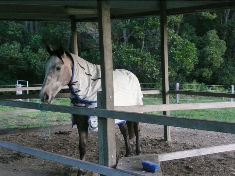501 Round Mountain road, Round Mountain NSW 2484