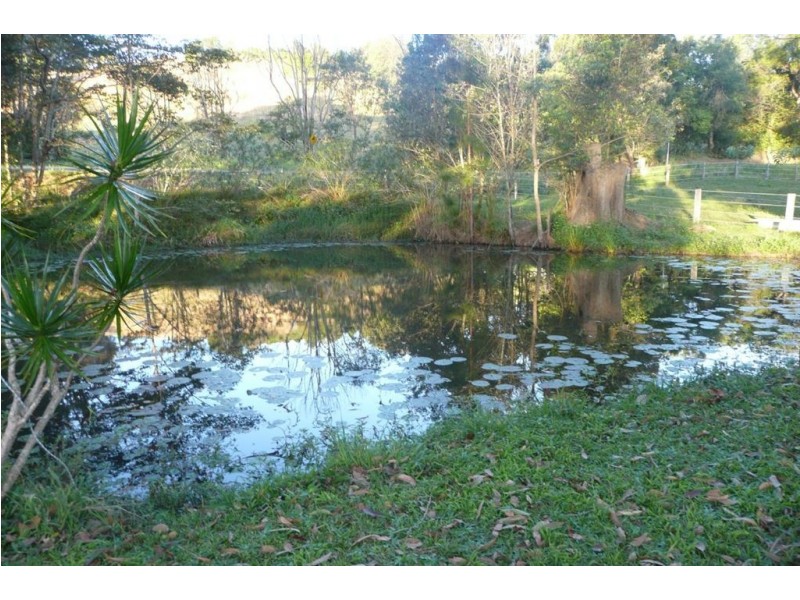 501 Round Mountain road, Round Mountain NSW 2484