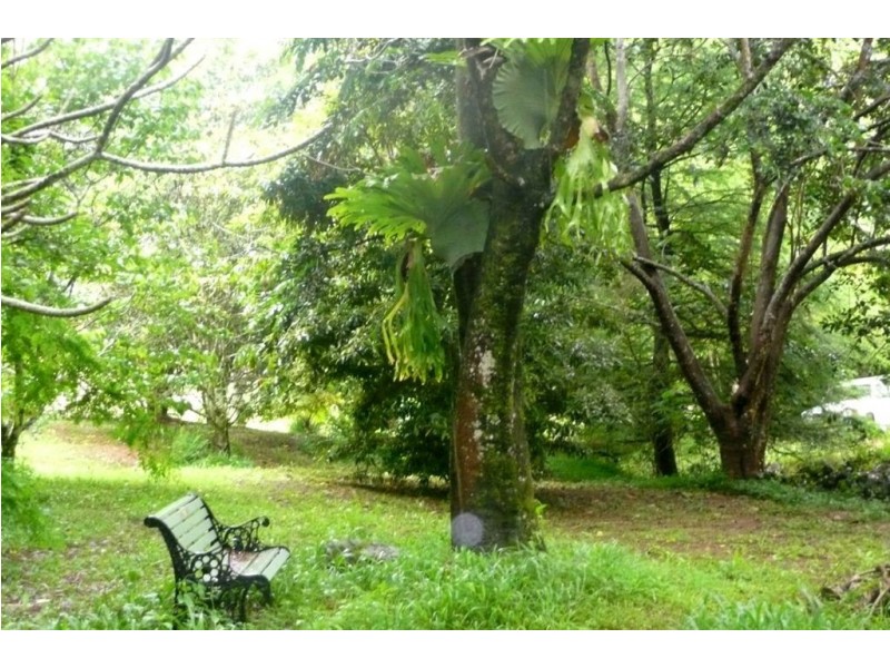 110 Geles Road, Burringbar NSW 2483