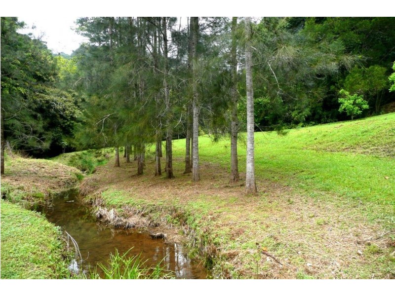 110 Geles Road, Burringbar NSW 2483