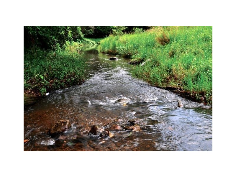 61 Thoroughbred Place, Bungalora NSW 2486