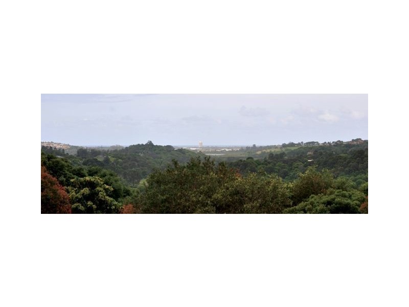 61 Thoroughbred Place, Bungalora NSW 2486