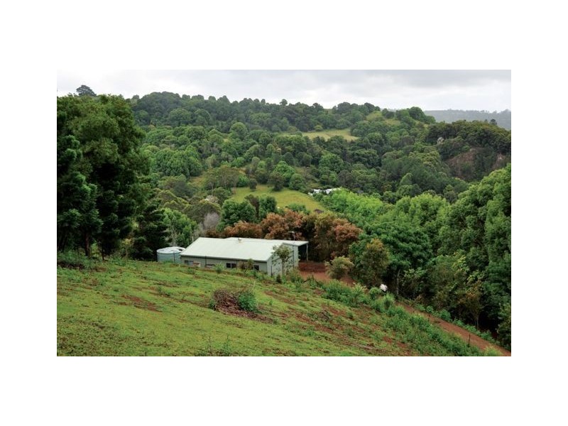 61 Thoroughbred Place, Bungalora NSW 2486