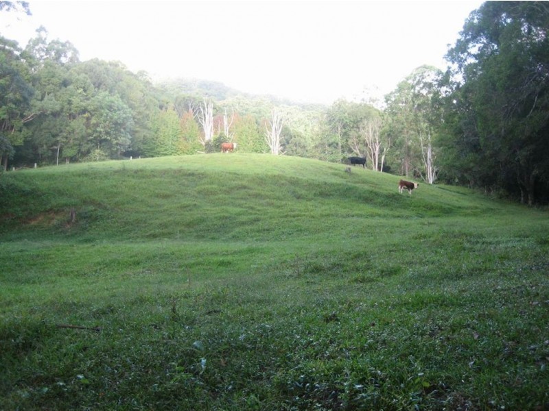 5 Ryans Road, Smiths Creek NSW 2484