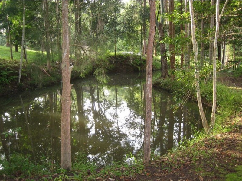 5 Ryans Road, Smiths Creek NSW 2484