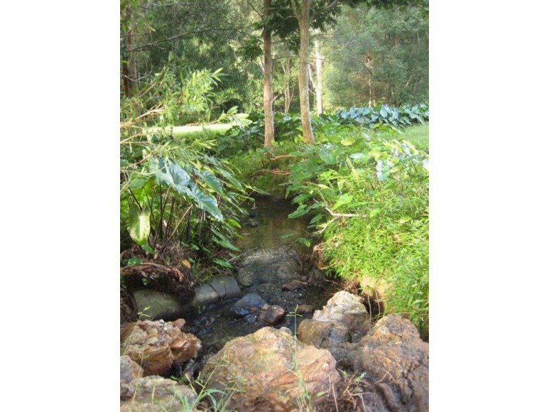 5 Ryans Road, Smiths Creek NSW 2484