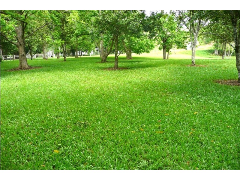 5 Ryans Road, Smiths Creek NSW 2484