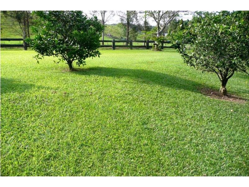 21 Heron Road, Burringbar NSW 2483