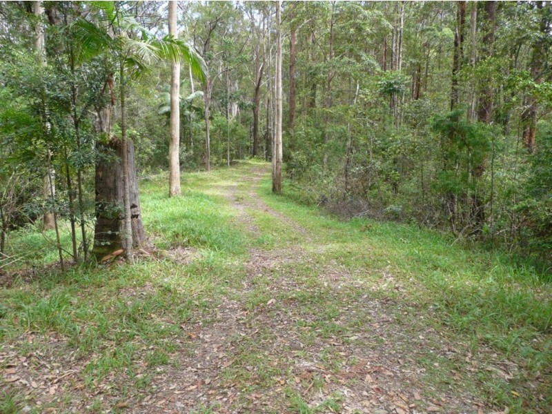 1000 Urliup Road, Urliup NSW 2484